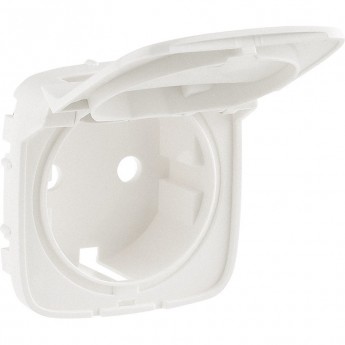 Лицевая панель LEGRAND Valena ALLURE для розетки 2К+З с крышкой жемчуг Лицевая панель LEGRAND Valena ALLURE для розетки 2К+З с крышкой жемчуг